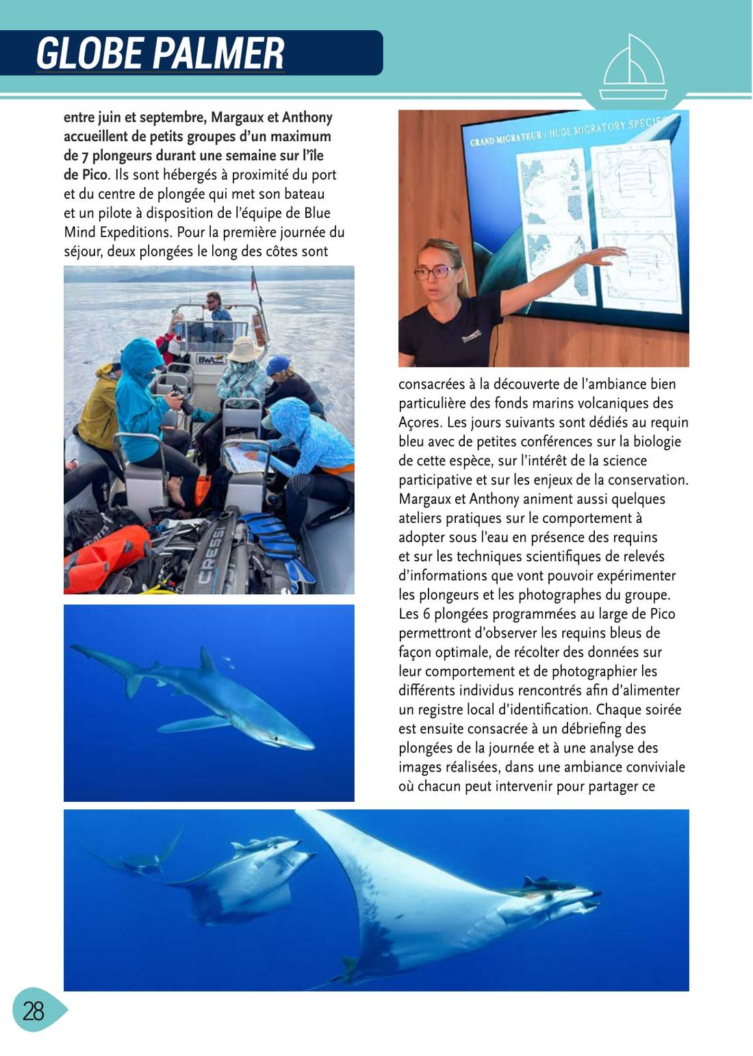 Page 28 de l’article : le groupe sur le bateau de plongée, Margaux en conférence sur les migrations du requin bleu, un requin bleu et des raies mobulas