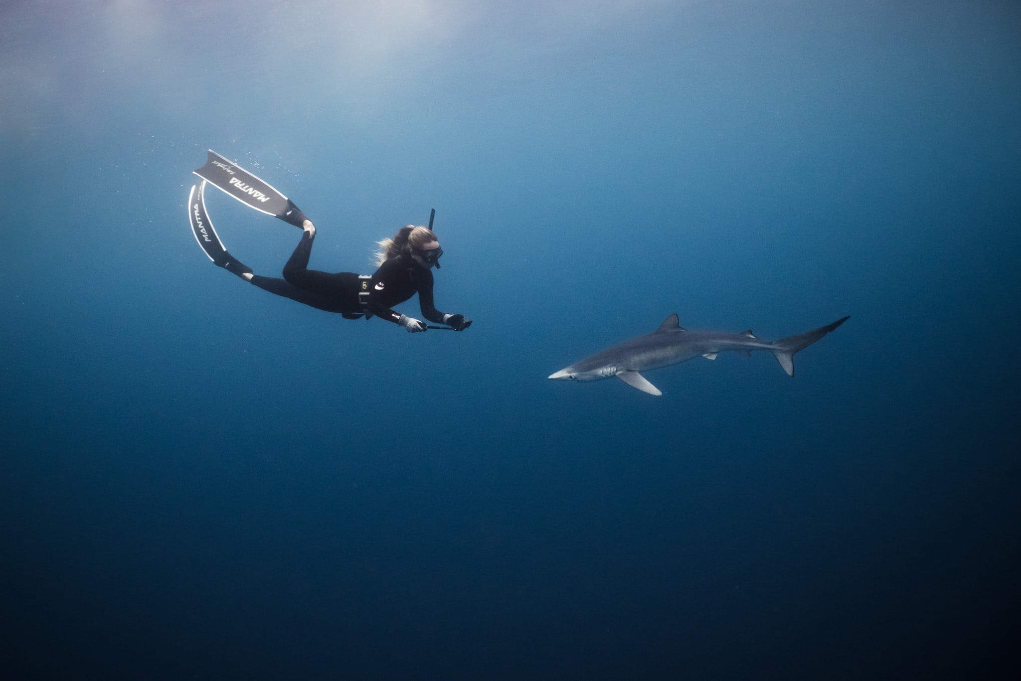 Margaux Le Brun en apnée, caméra en main, face à un requin bleu en pleine eau