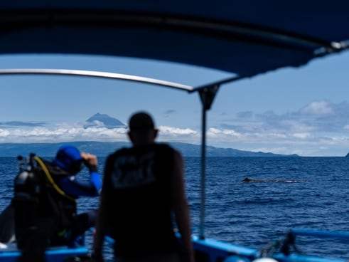 Silhouette d’un membre d’équipage scrutant l’horizon depuis le bateau