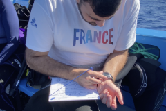 Collecte-de-donnees-Alexandre