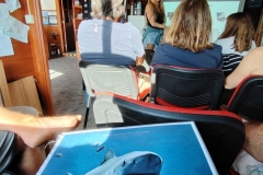 acf7069f-3c6d-490c-ae57-47ba2d5ed1b4-2