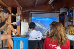 d3bcb5d9-c1da-4ff0-add0-7f2b3d0c4ac2-2