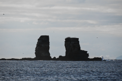 darwin-arch-galapagos
