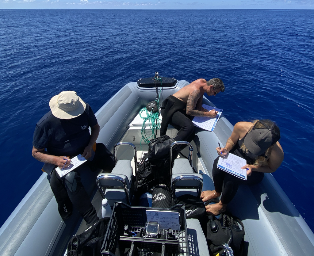 Collecte de données sur le bateau lors d'un workshop de science participative aux Açores