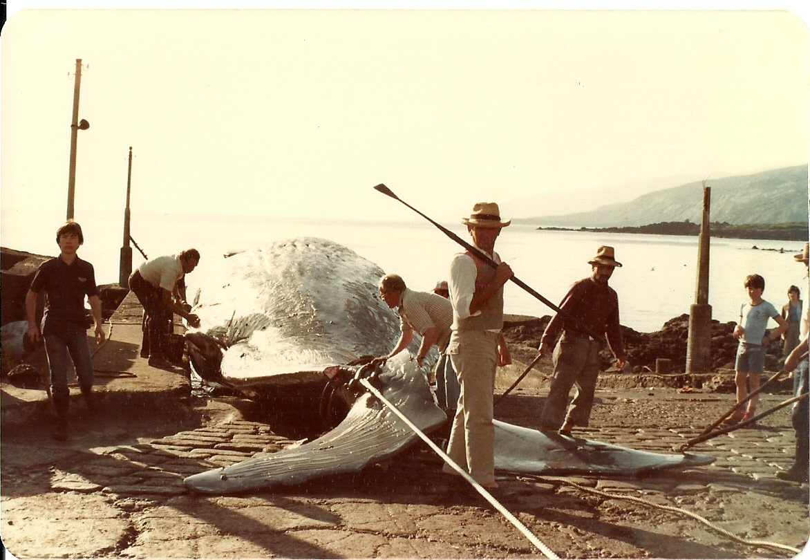 Chasseurs de baleines à Sao Roque aux Açores