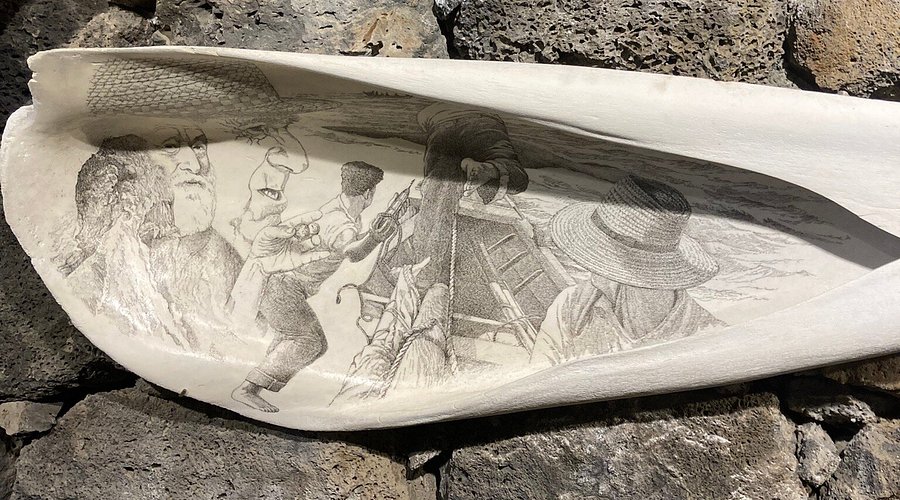 Gravure sur os de baleine